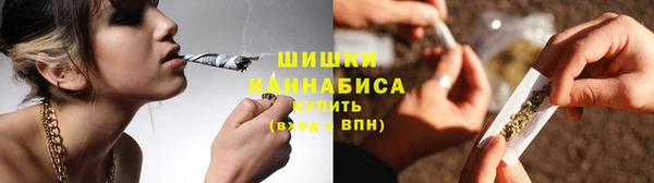 СК Коряжма