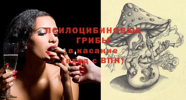 СК Коряжма